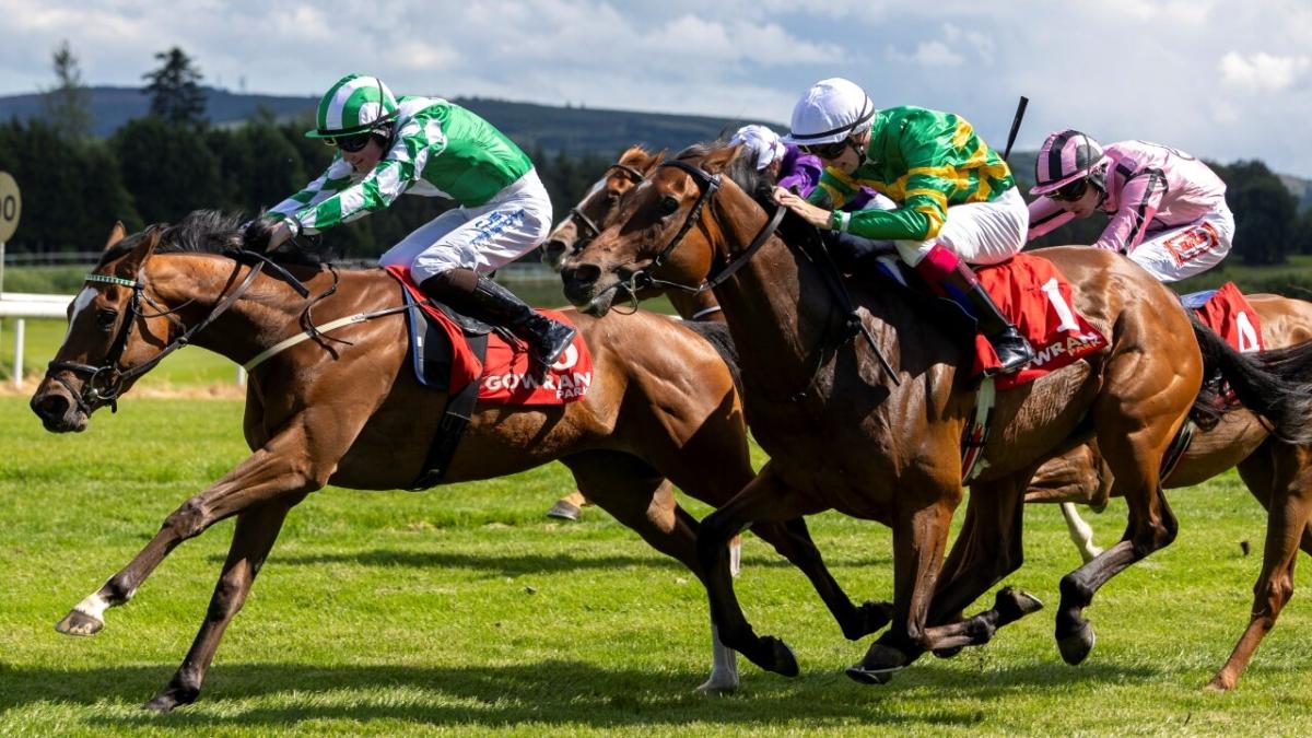 Gowran Park